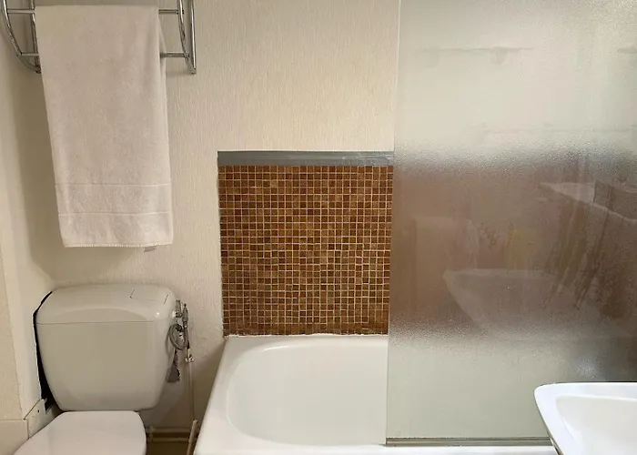 4pers Supper Appartement Besse-et-Saint-Anastaise