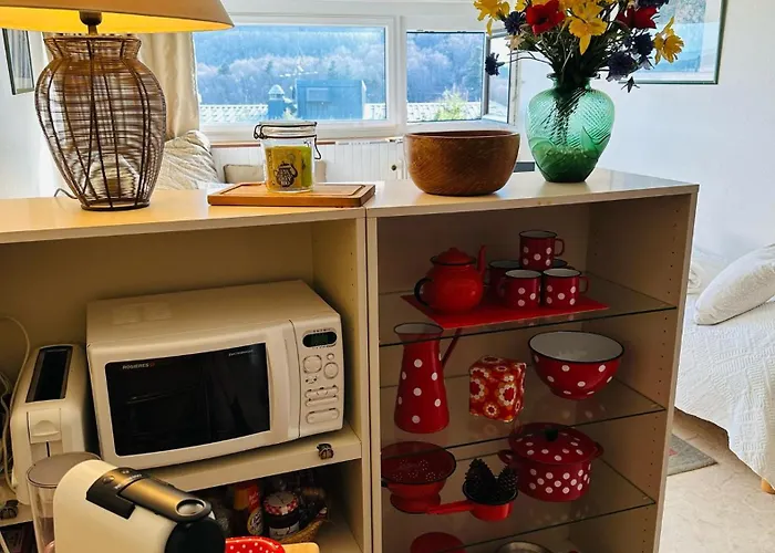 4pers Supper Besse-et-Saint-Anastaise